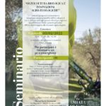 Olivicoltura biologica e innovazioni agro ecologiche – seminario