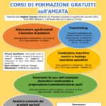 Opportunità di formazione gratuita sull’Amiata 2023/2024